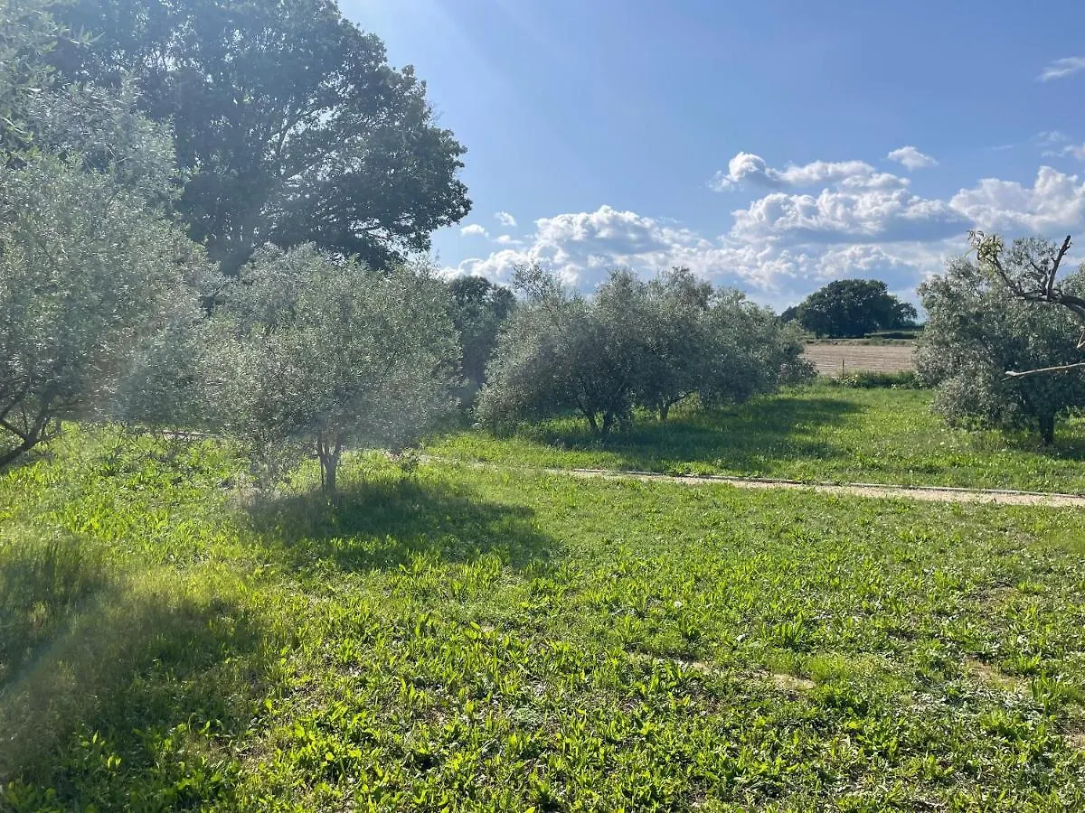 Vakantiehuis Sous Les Etoiles En Provence, Gite Les Grands Chenes Lurs Frankrijk
