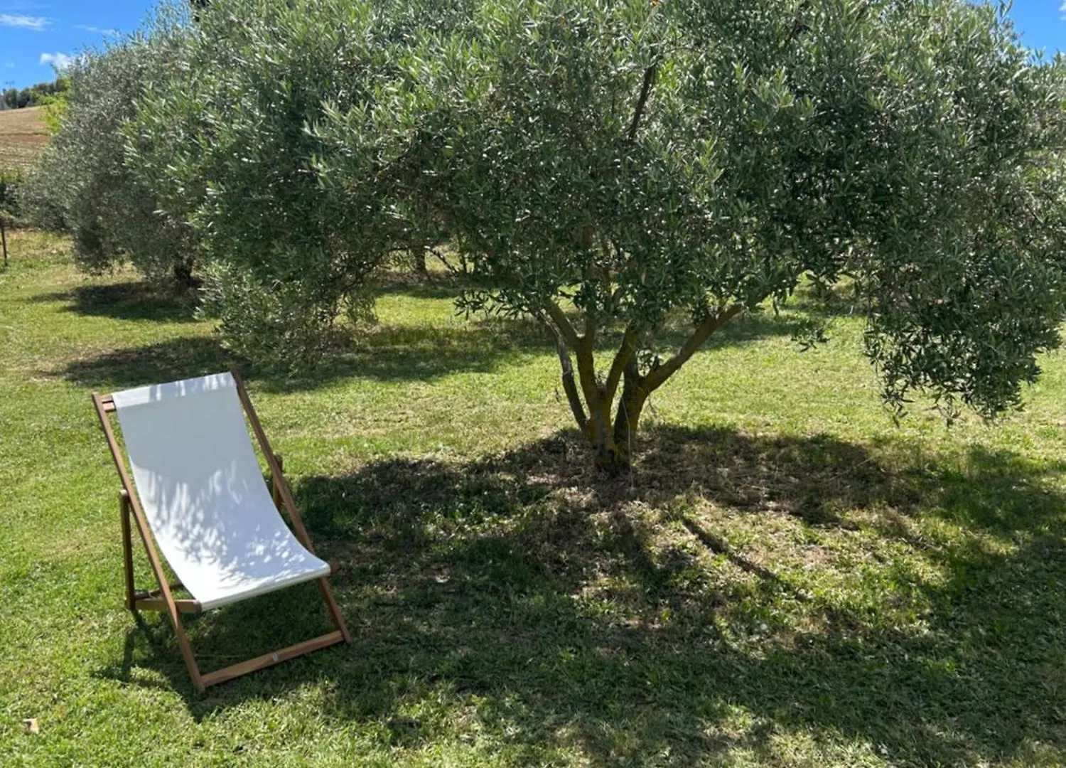 Sous Les Etoiles En Provence, Gite Les Grands Chenes Lurs